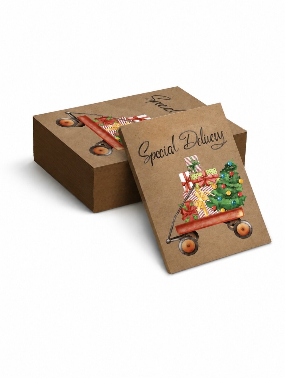 20ct, 6x4 "SPECIAL DELIVERY" INSERT CARDS
